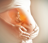 סקירת מערכות שלישית: מקומה באבחון הטרום-לידתי-תמונה